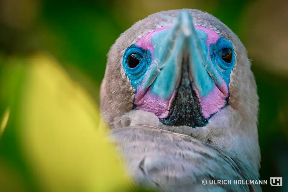 ecuador-12.jpg
