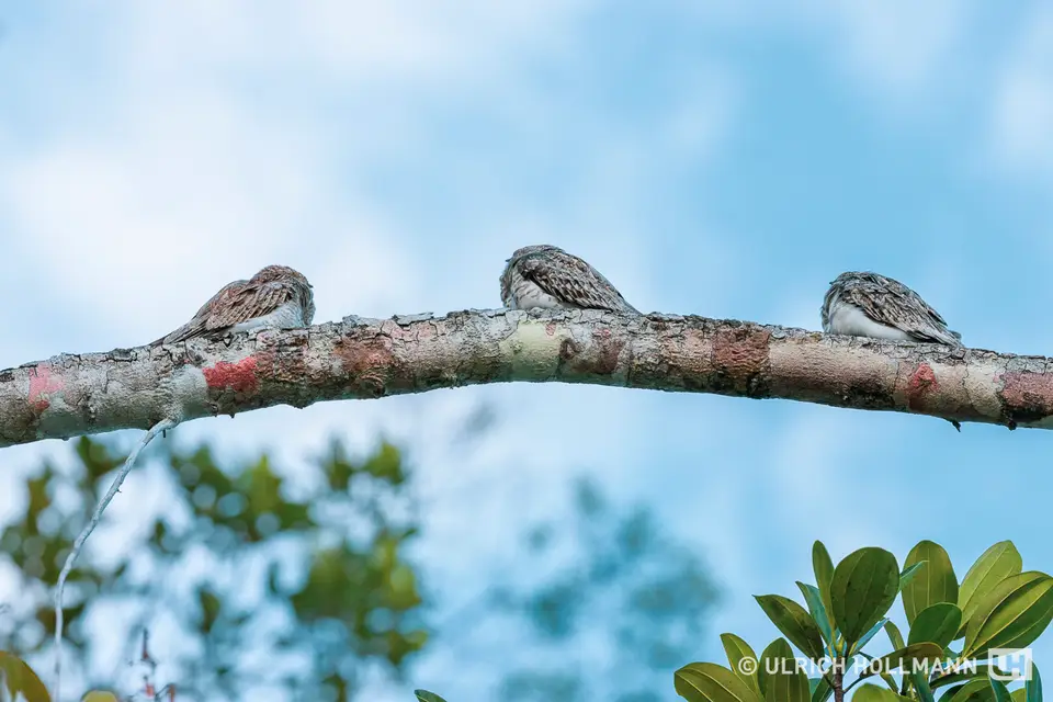 ecuador-2.jpg