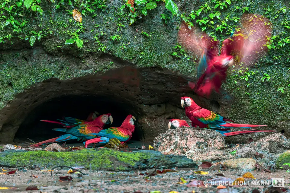 ecuador-5.jpg