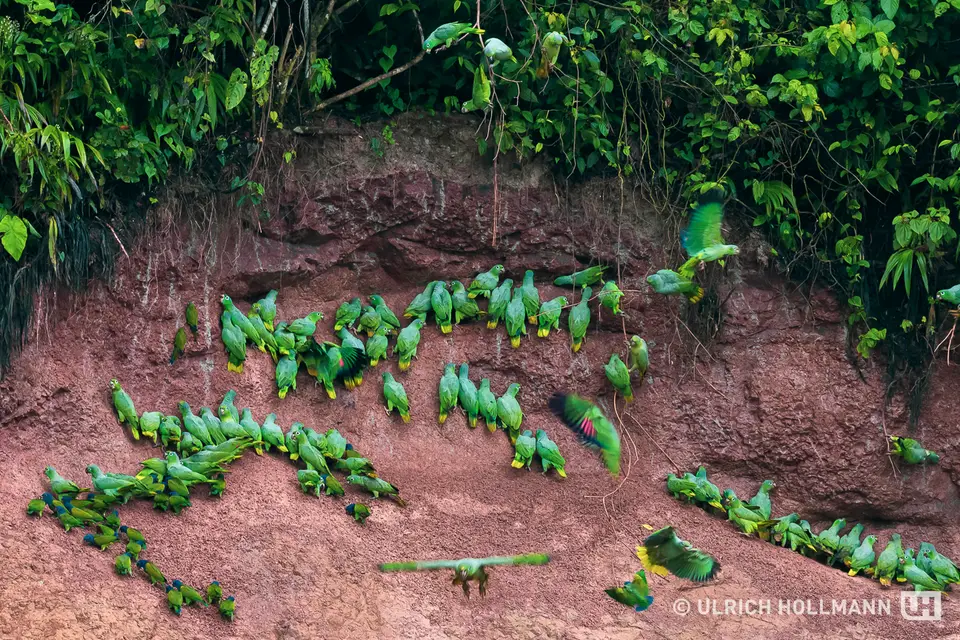 ecuador-6.jpg