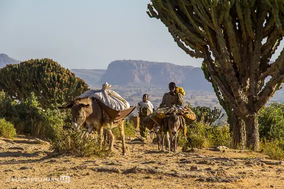 ethiopia-2502.jpg