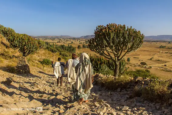 ethiopia-2522.jpg