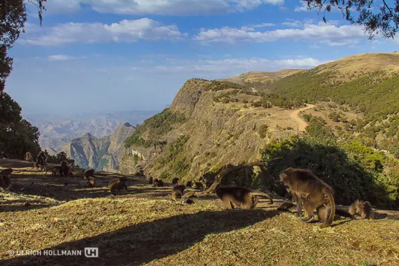 ethiopia-3066.jpg