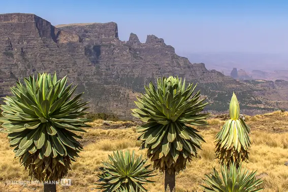 ethiopia-3159.jpg