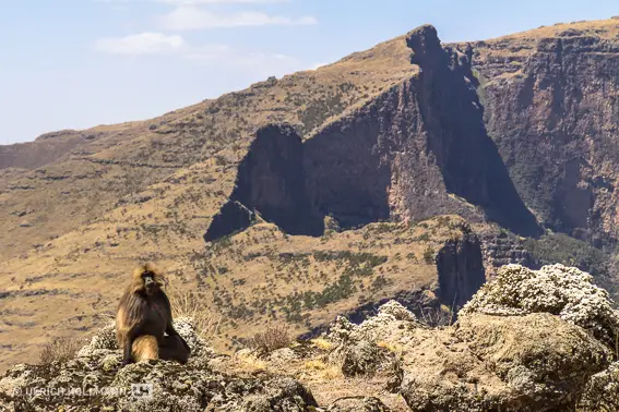 ethiopia-3177.jpg