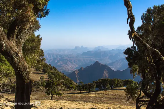 ethiopia-3274.jpg