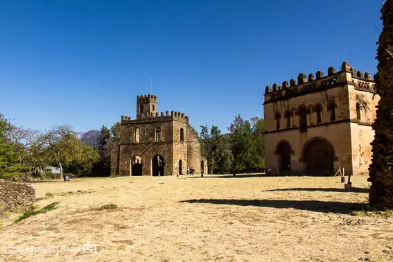 ethiopia-3377.jpg