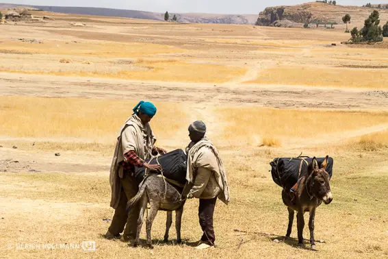 ethiopia-3968.jpg