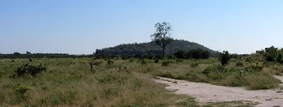 12.01Savuti01.jpg