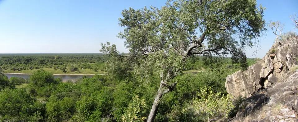 12.01Savuti05.jpg