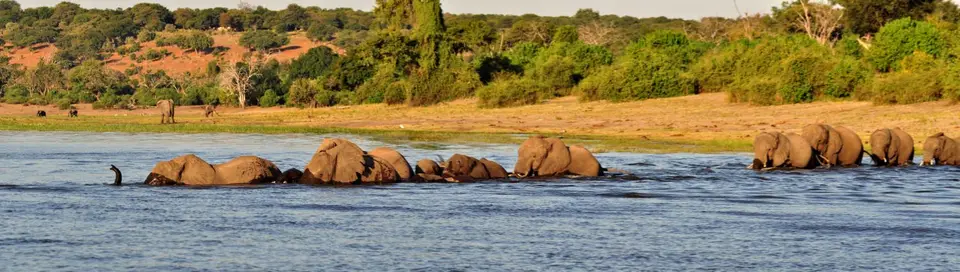 15.01Chobe08.jpg
