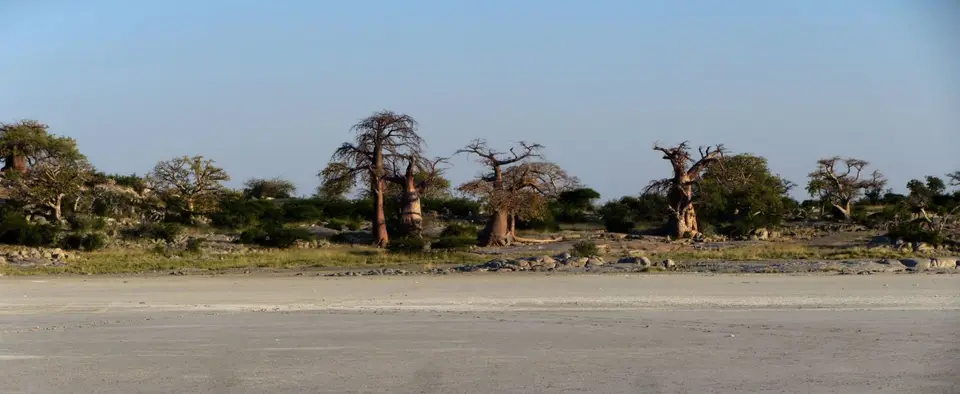 17.02AbendstimmungKubuIsland11.jpg