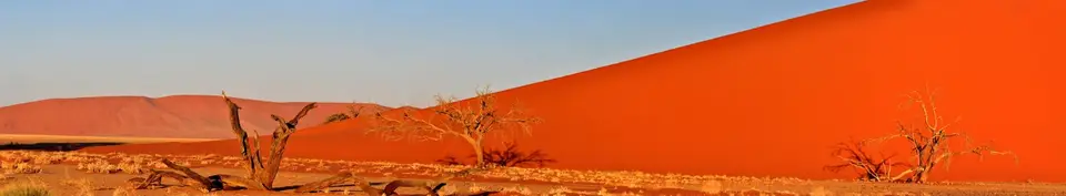20.05Düne45undUmgebung15.jpg