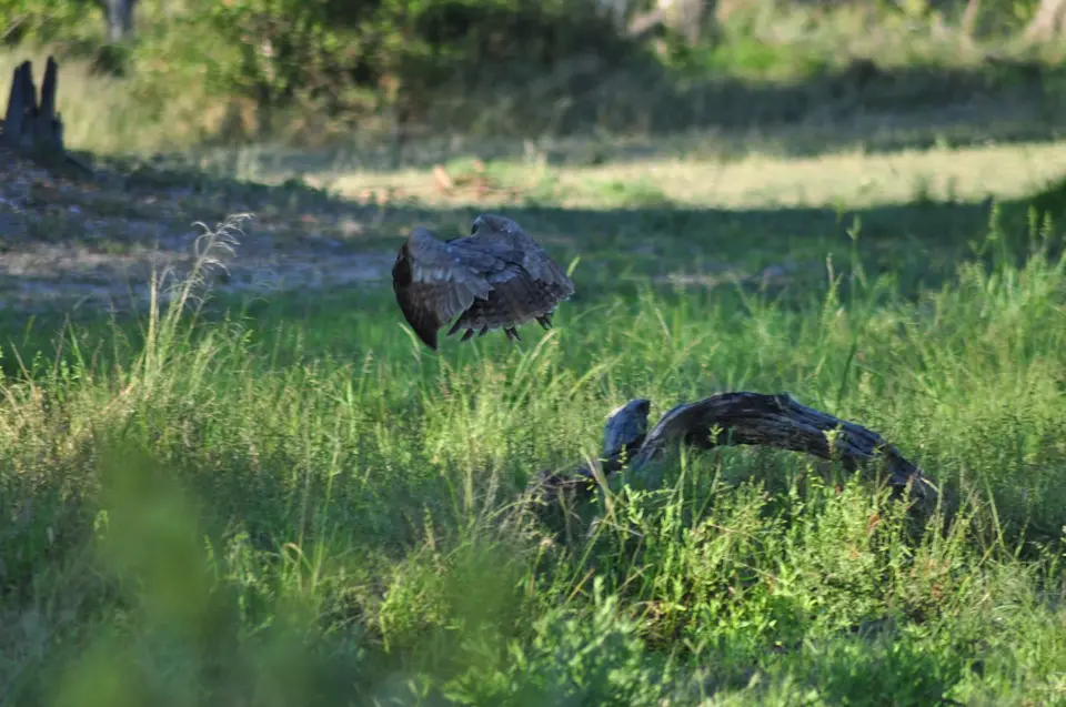DSC_6157.JPG