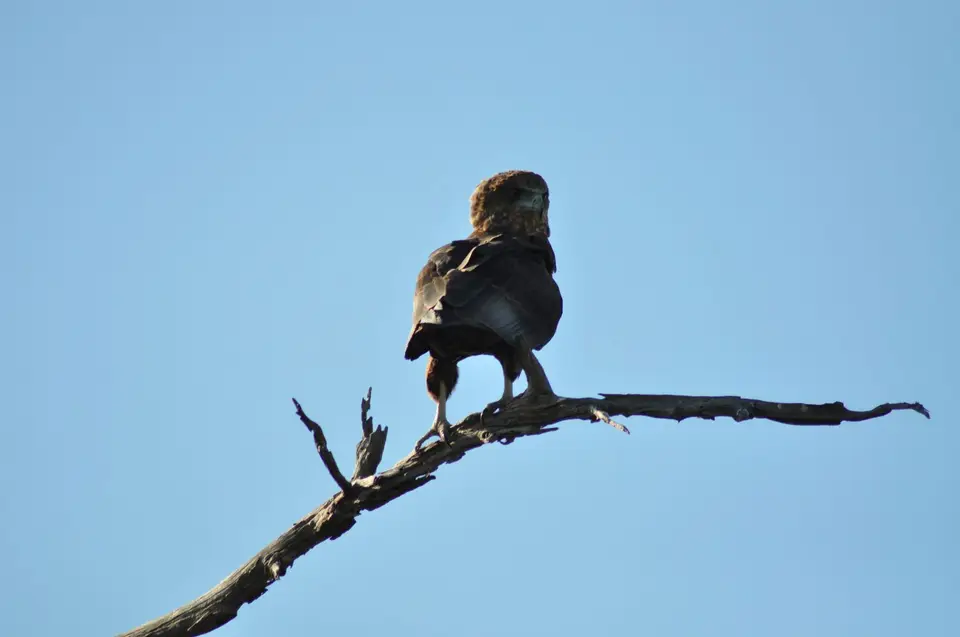 DSC_6166.JPG