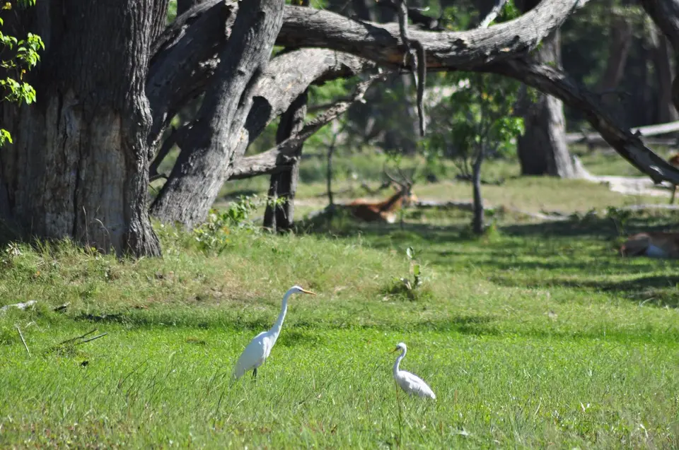 DSC_6232.JPG