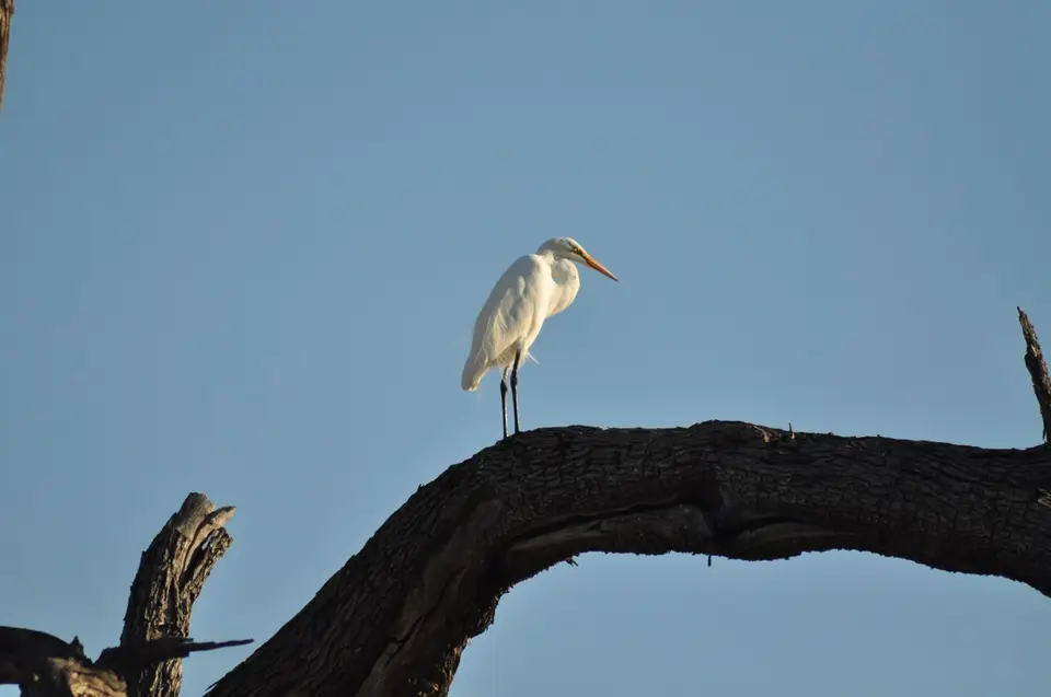 DSC_6240.JPG