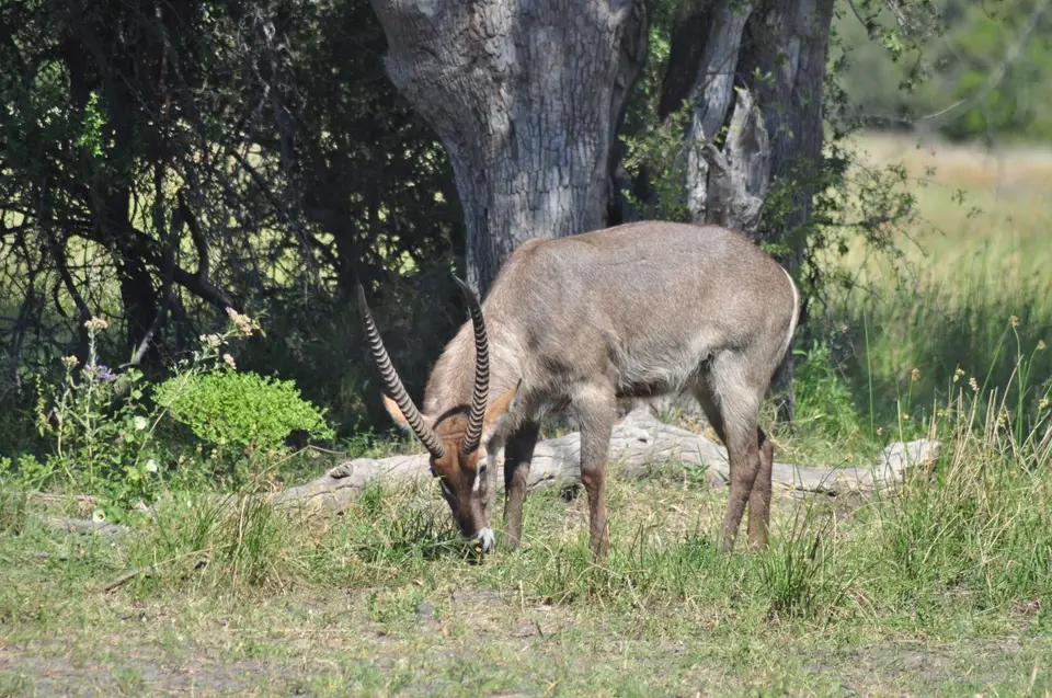 DSC_6280.JPG