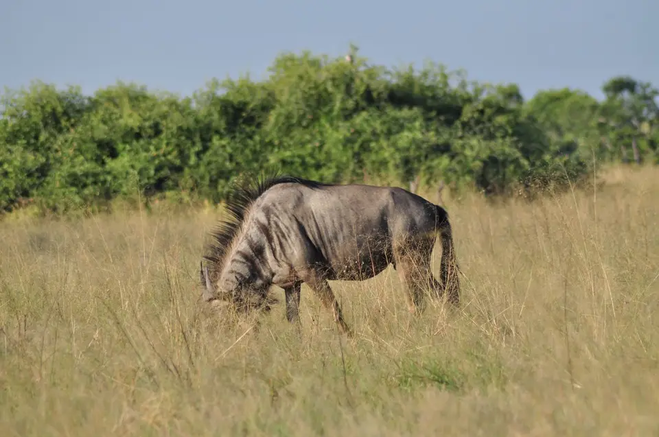 DSC_6393.JPG