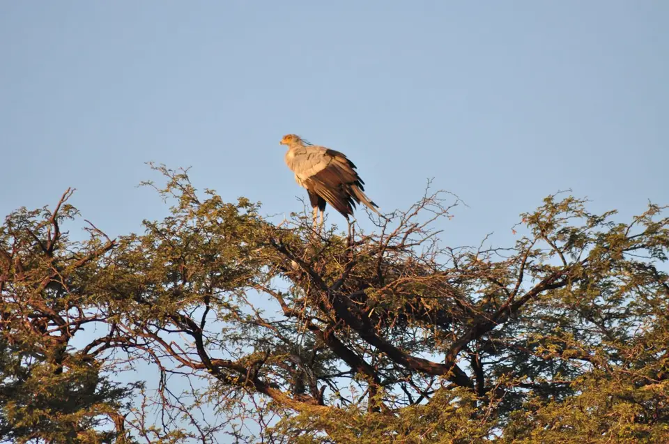 DSC_6417.JPG