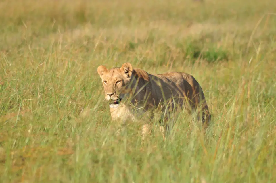 DSC_6434.JPG