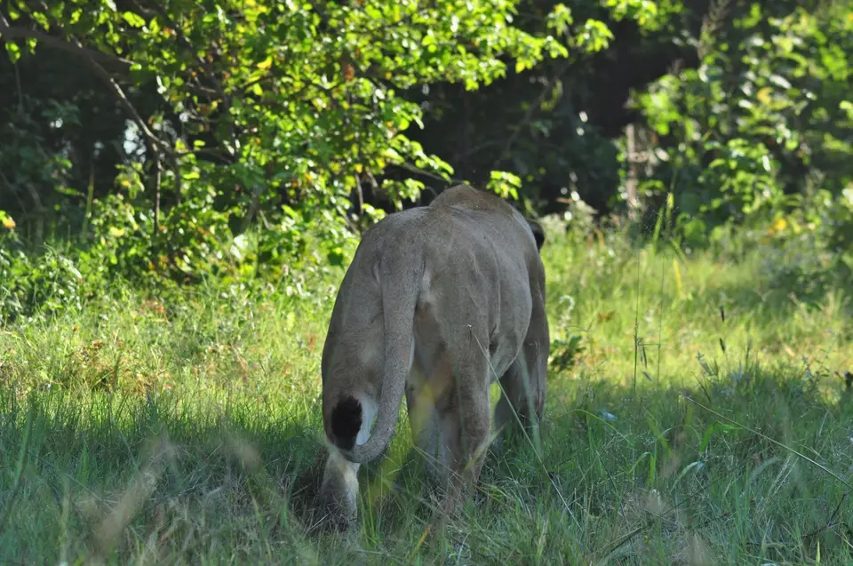DSC_6445.JPG