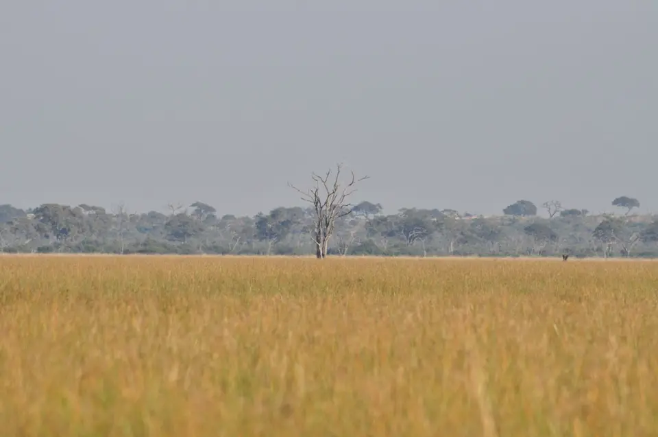 DSC_6447.JPG