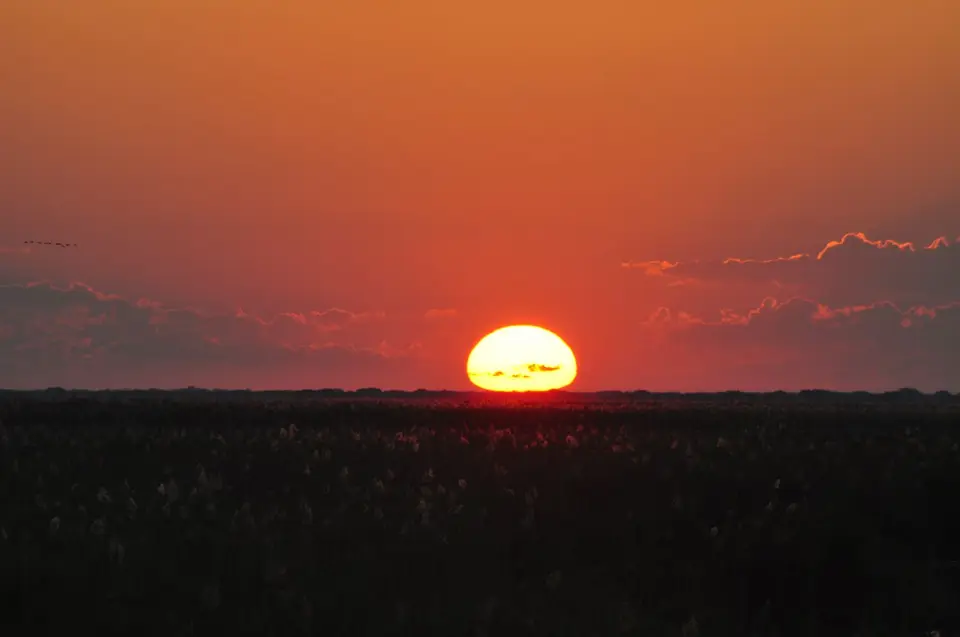 DSC_6458.JPG