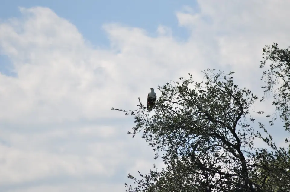DSC_6475.JPG