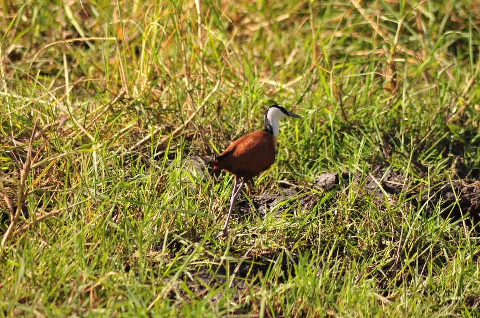 DSC_6481.JPG