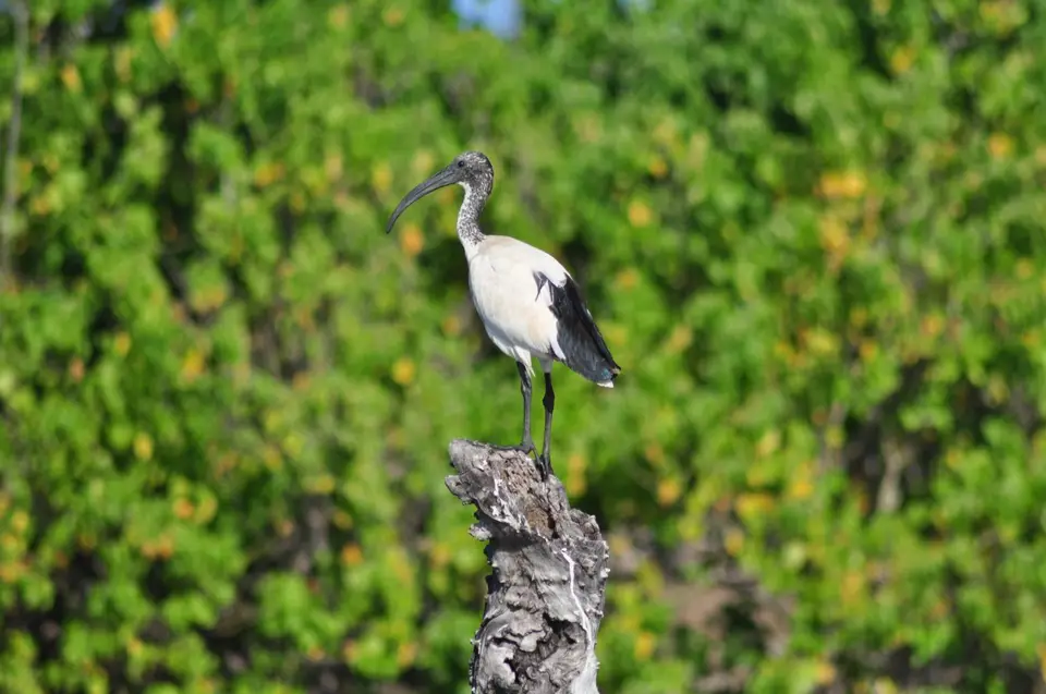 DSC_6514.JPG
