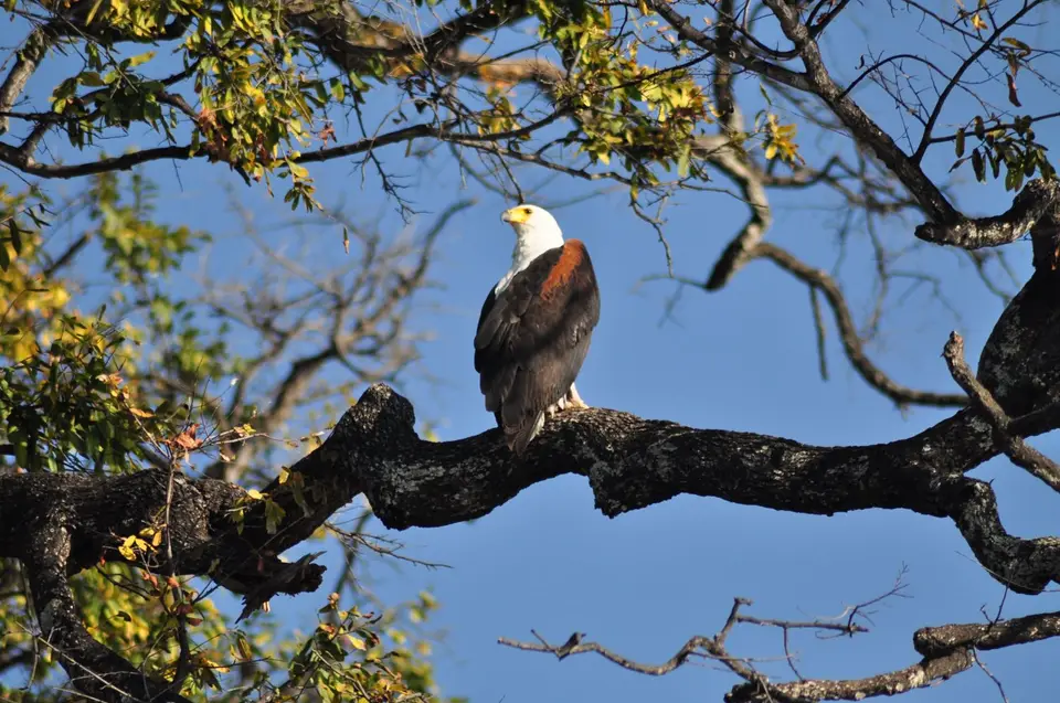 DSC_6535.JPG