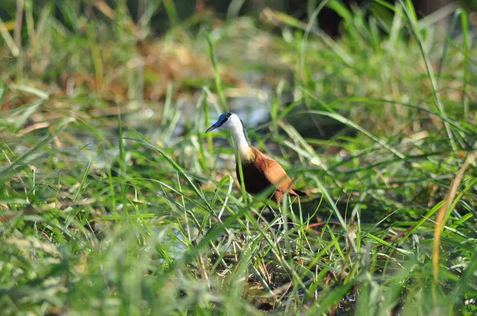 DSC_6648.JPG