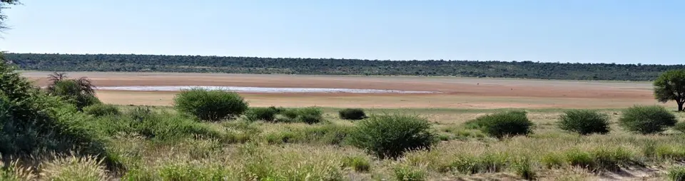 h2728dca.jpg