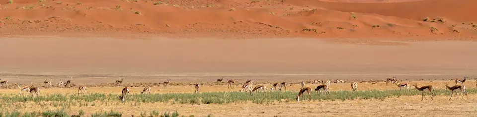 k-22.02FahrtinSossusvlei03.jpg
