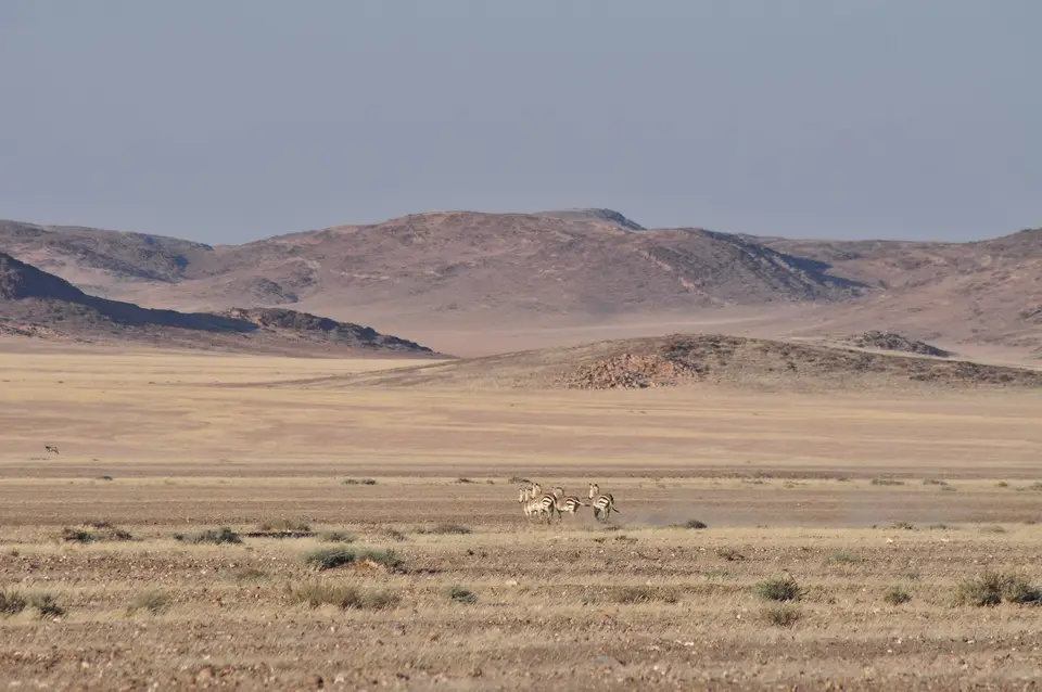 k-DSC_0877.JPG
