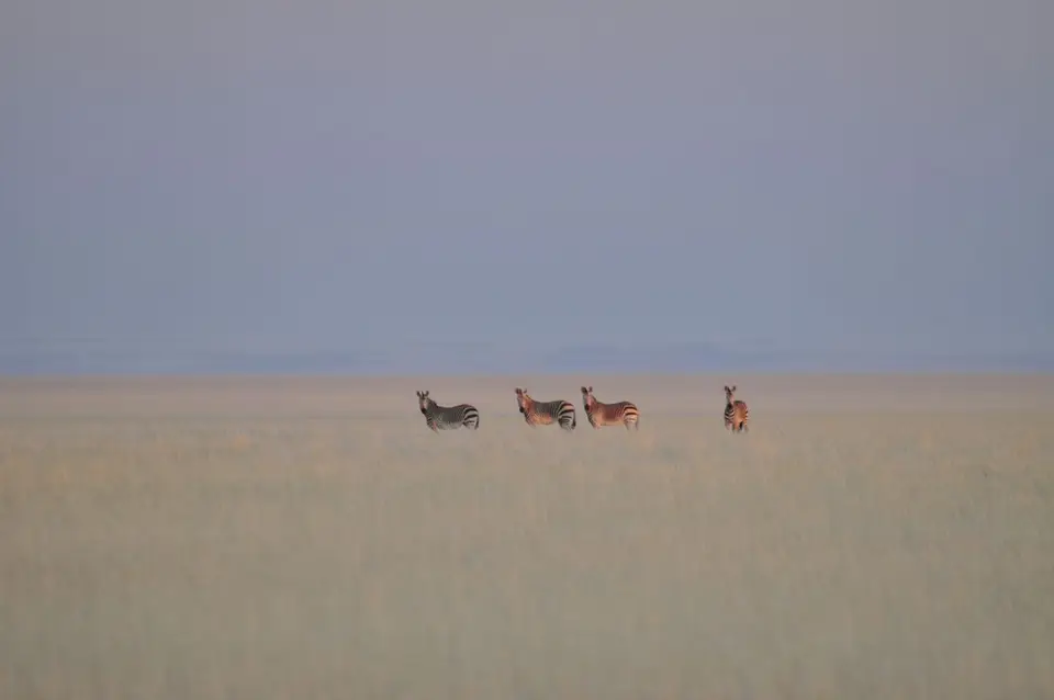 k-DSC_1131.JPG