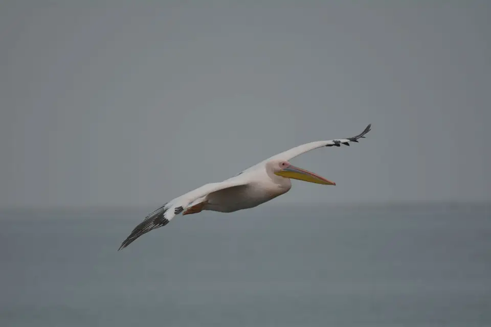 k-DSC_5069.JPG