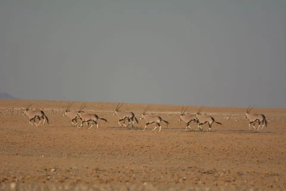 k-DSC_5224.JPG