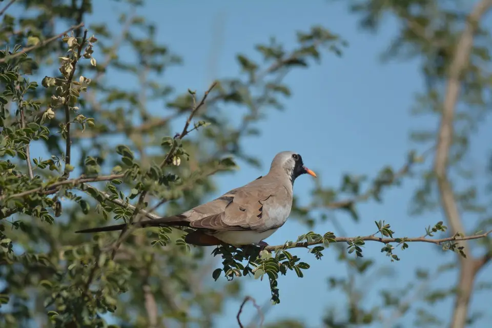 k-DSC_5817.JPG