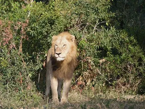 P1020181K.JPG
