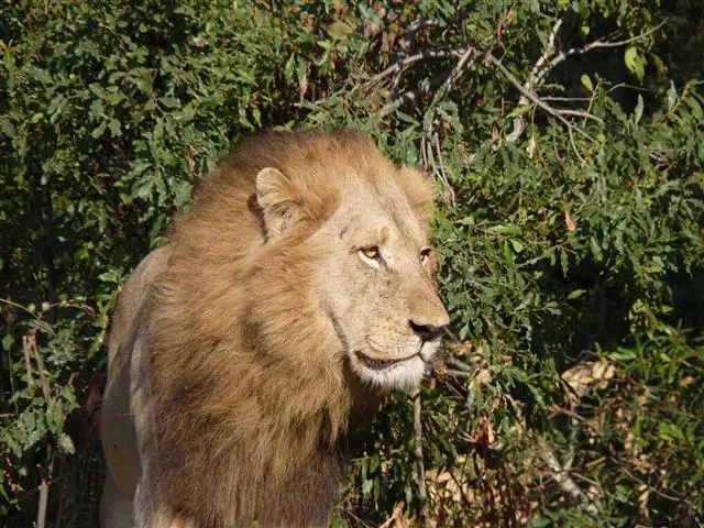 P1020182K.JPG