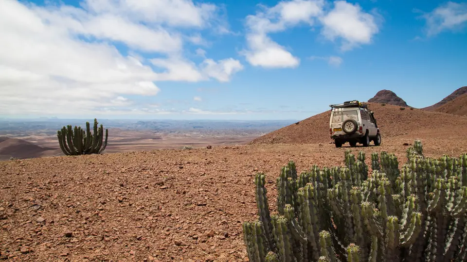 AZ-004.jpg