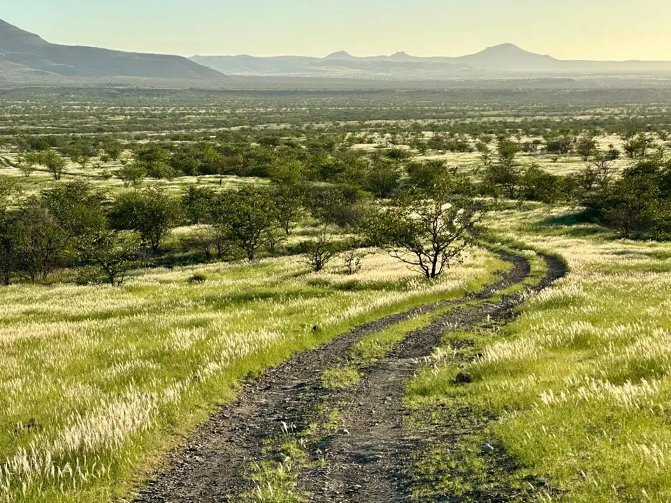 Damaraland.jpeg