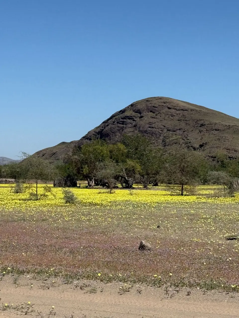 Sesfontein.jpeg