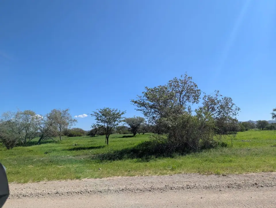 Sesfontein2.jpeg
