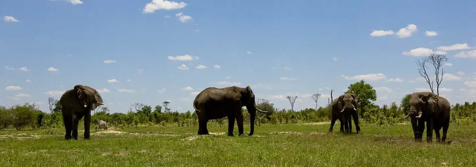 afrika08-002.jpg