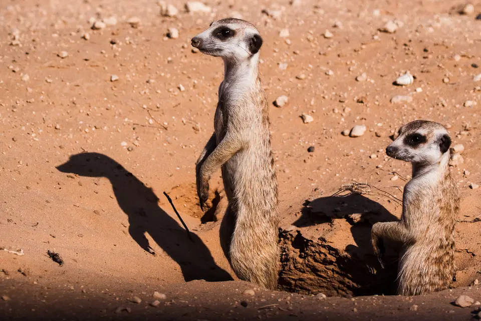 h8d43170.jpg