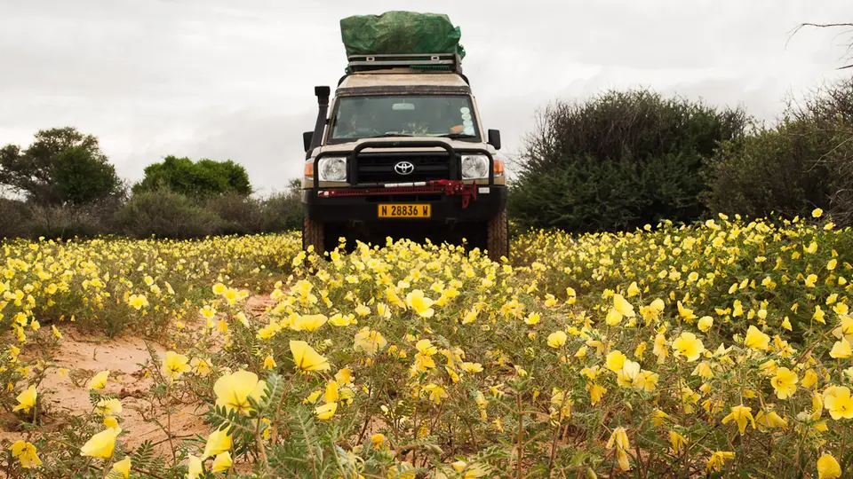 hb0c6964.jpg