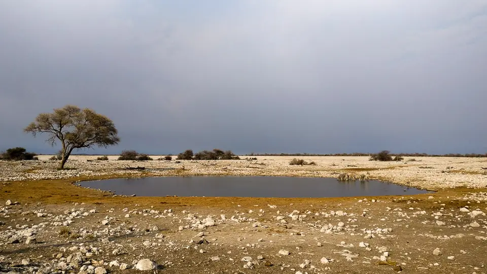 img002.jpg